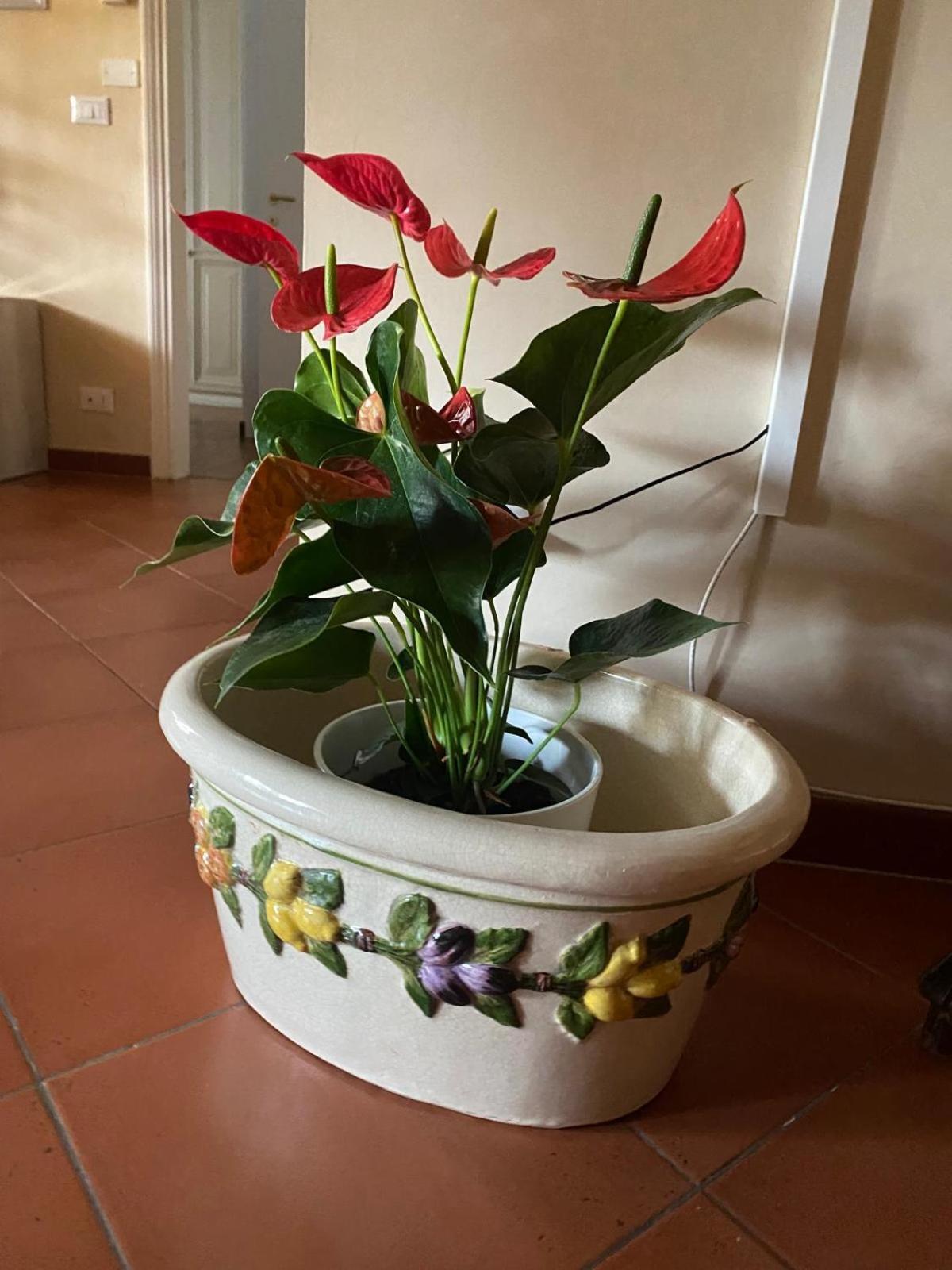 Appartamento Magnolia Mercatale Val Di Pesa Eksteriør billede
